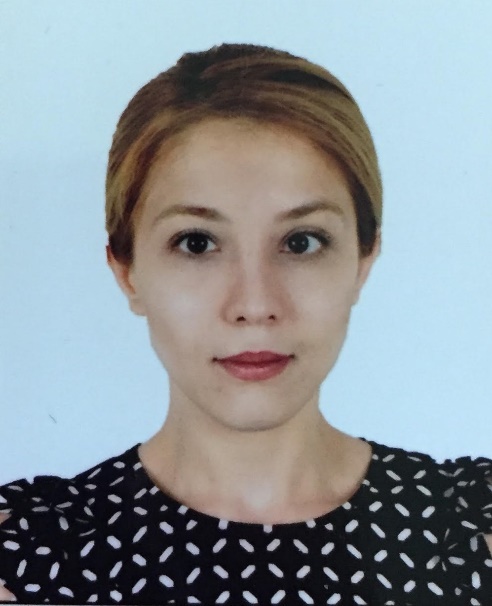 Arş. Gör. Dr. Dilek Özge ERDEM