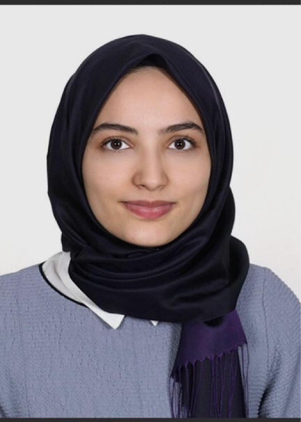 Arş. Gör. Rumeysa ÇEVİK