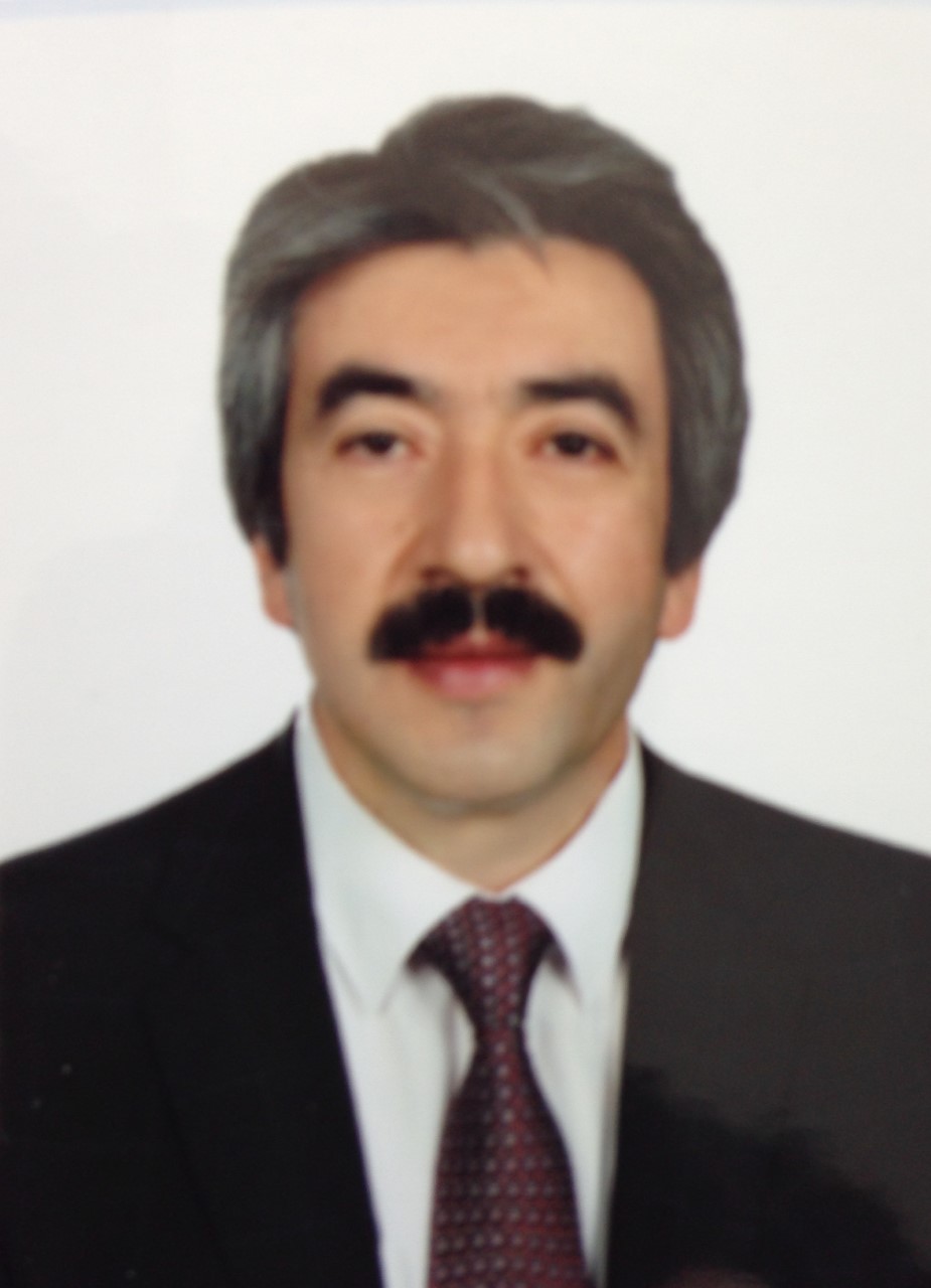 Prof. Dr. Metin TOPCUOĞLU