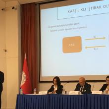 Anonim Ortaklıklarda Karşılıklı İştirakler ve Sonuçları 3