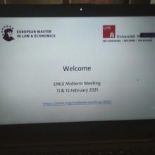 EMLE Midterm Meeting 2021 3