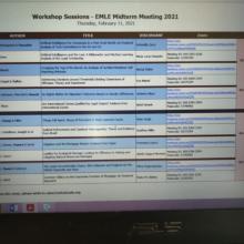EMLE Midterm Meeting 2021 4